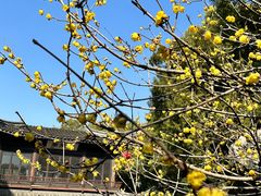 -惠山古镇·寄畅园