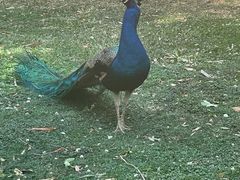 -昆明动物园