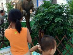 -太和环球嘉年华游乐园