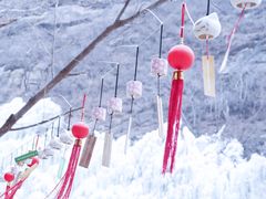 -黑龙潭风景区