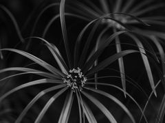 -上海吴淞炮台湾国家湿地公园