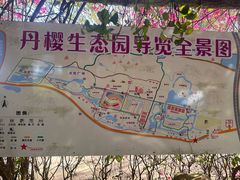 -丹樱生态园
