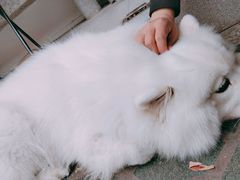 -四川农业大学(雅安校区)