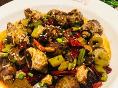 -福苗小骆驼烧烤(大唐不夜城店)