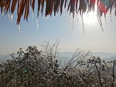 -永州阳明山国家森林公园