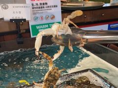 -亚马逊环球美食百汇(新城吾悦广场店)