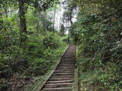 -青城山