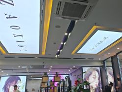 -藤野造型烫染