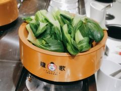 -龍歌自助小火锅(崂山丽达店)