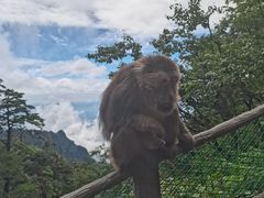 -峨眉山风景名胜区