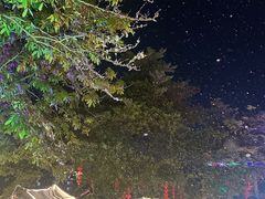 -三水森林公园孔圣园