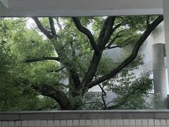 -湖北美术学院(昙华林校区)