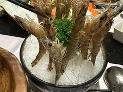 -红鼎豆捞·非遗鲍皇汤火锅(宝丰路店)