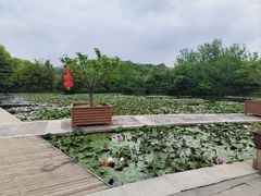 -白马涧龙池景区