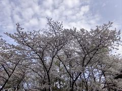 -杭州少年儿童公园