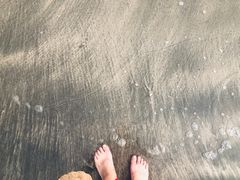 -那琴半岛地质海洋公园