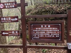 -五女峰国家森林公园