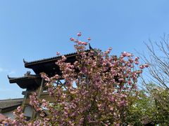 -同里国家湿地公园