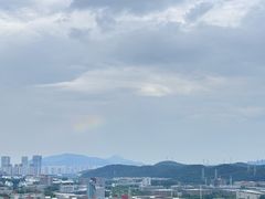-羊山湖公园