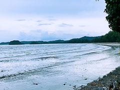 -Wang Sai Seafood