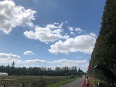 -上海长兴岛郊野公园