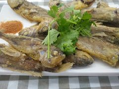 -烁佳海鲜大馅饺子