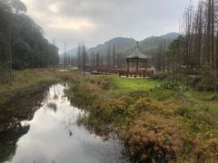 -广州市石门国家森林公园