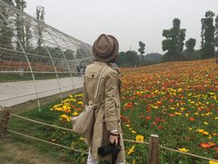 -秀丽东方