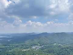 -海南热带野生动植物园