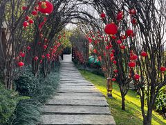 -七彩云南古滇温泉山庄