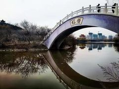 -禹州森林植物园