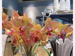 -GOTLOT COFFEE&KITCHEN角落厨房NOOK店
