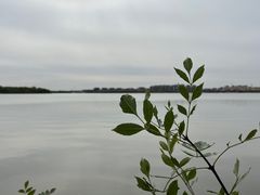 -武清南湖绿博园