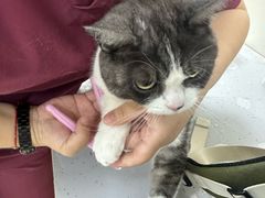 -美联众合动物医院·24h京西诊疗中心