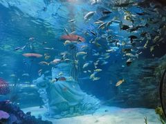 -沈阳海洋探索中心