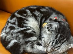 -疯狂烤翅(飘逸路店)