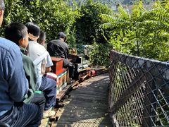 -海南槟榔谷黎苗文化旅游区