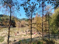-广州市白云山风景名胜区