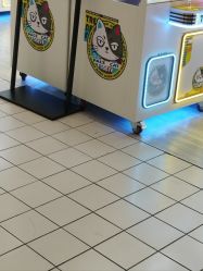 -米粒熊儿童成长乐园(好信广场店)