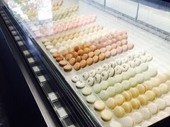 -BLACKSWAN黑天鹅(环球店)