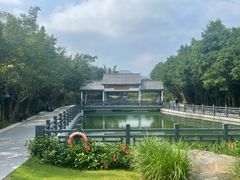 -森波拉奇妙世界