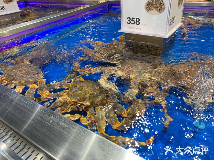 盒马鲜生(金源店)帝王蟹图片