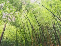 -敬亭山风景名胜区