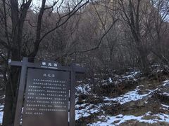 -阳台山自然风景区