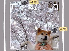 -龙美术馆(西岸馆)