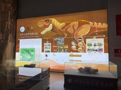 -西峡恐龙遗迹园