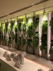 -VELEE·SPA高定疗愈会所