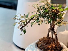 -北芒BEIMO COFFEE(五台山店)