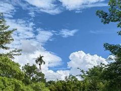 -中国科学院西双版纳热带植物园