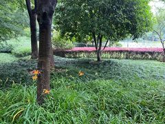 -杭州城北体育公园